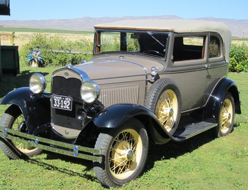 Baily, Everett & Donna